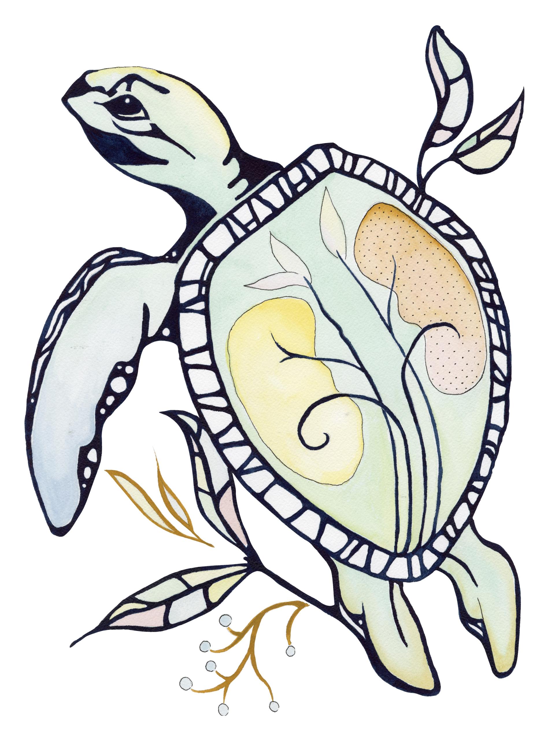 Turtle - Kidney Energy