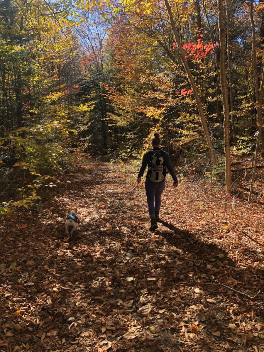Emily Beliveau and her dog Nala walking a wooded autumn trail